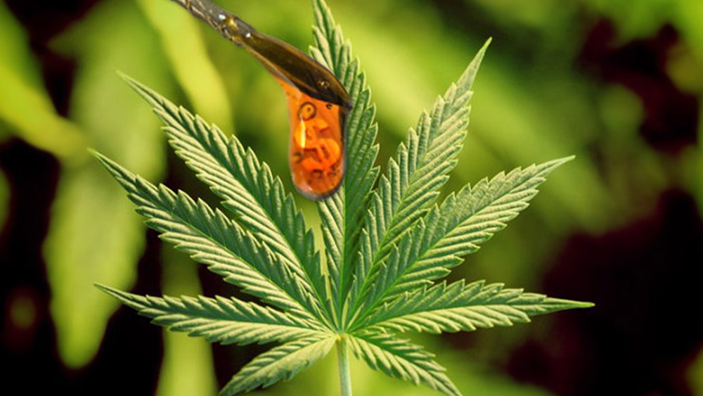 CBD 
      Oil Rub For Pain Wells 
      ME 4090
